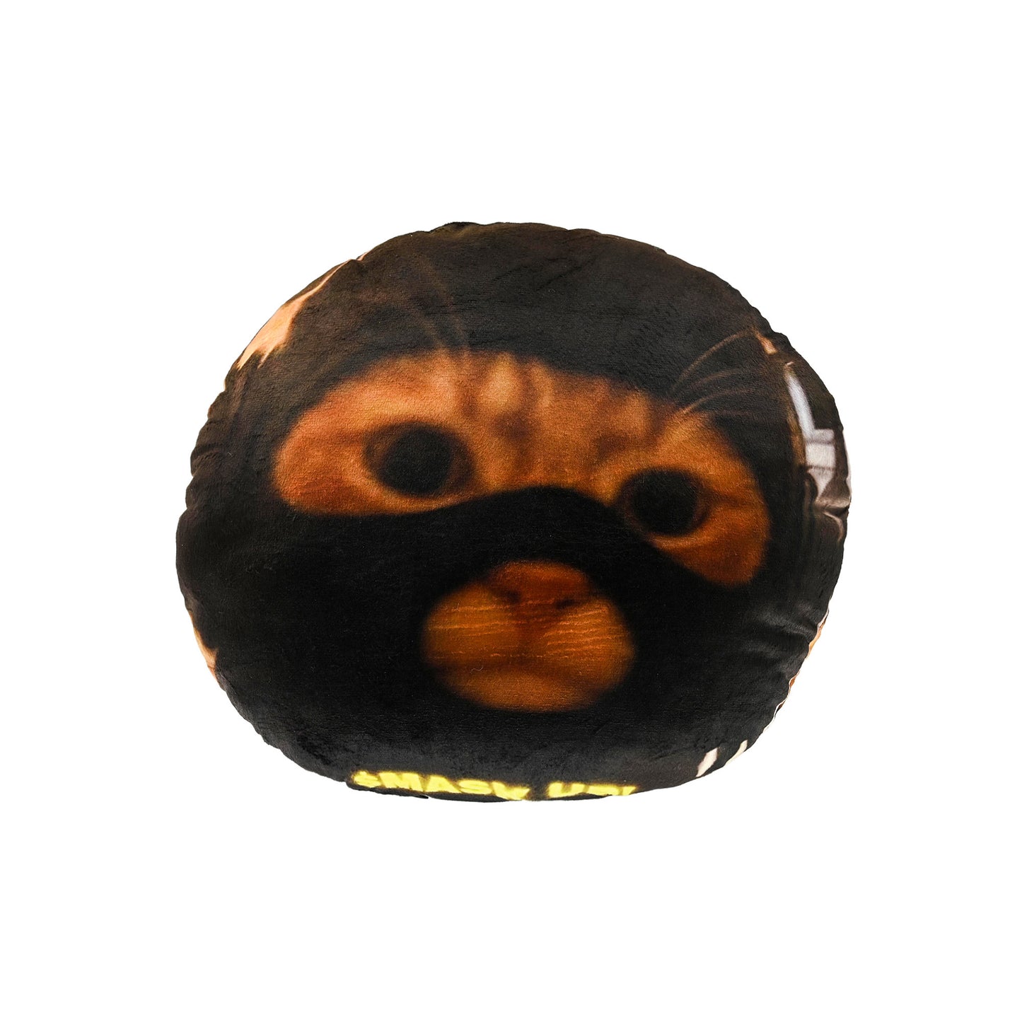 Catwifmask “ $MASK UP!” pillow