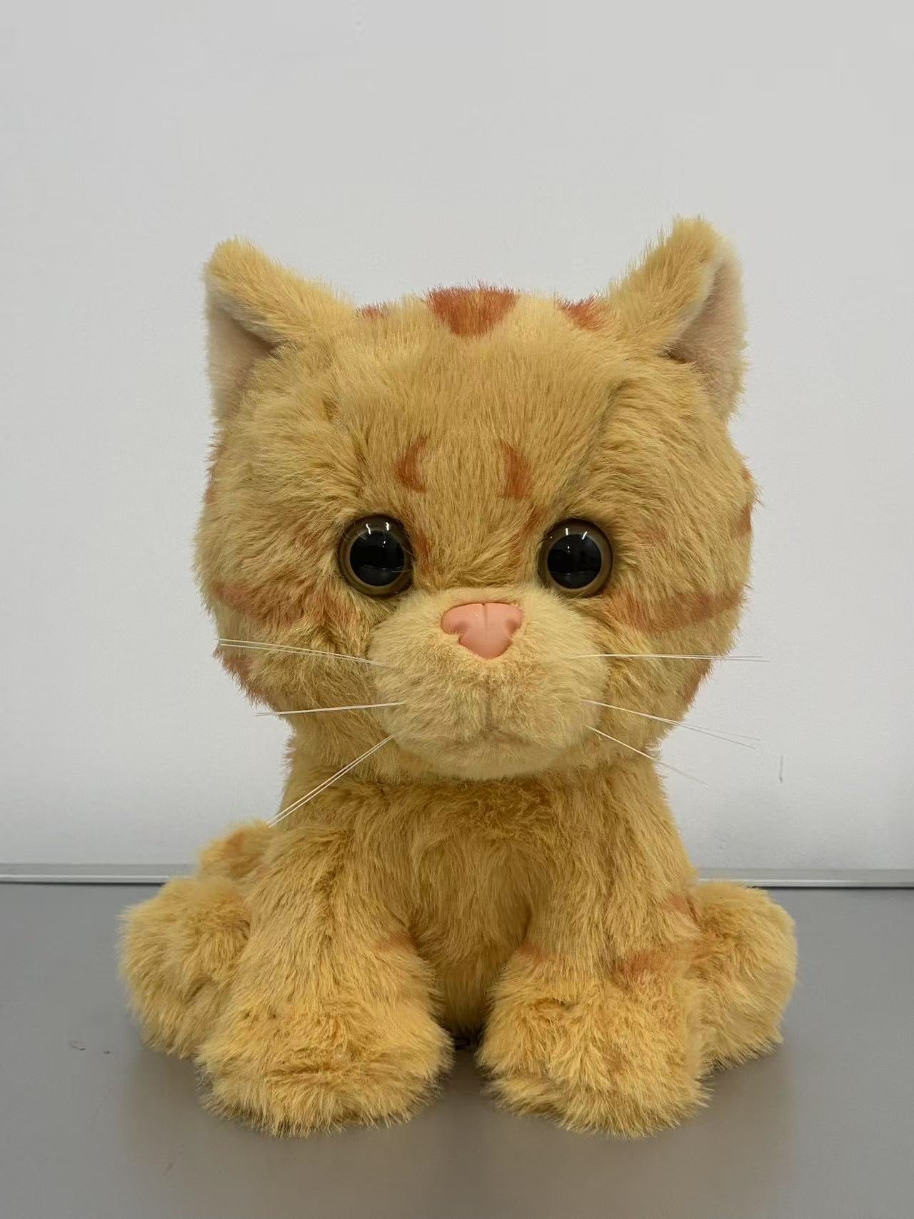Catwifmask Bundle Deal - Plush toy & pillow