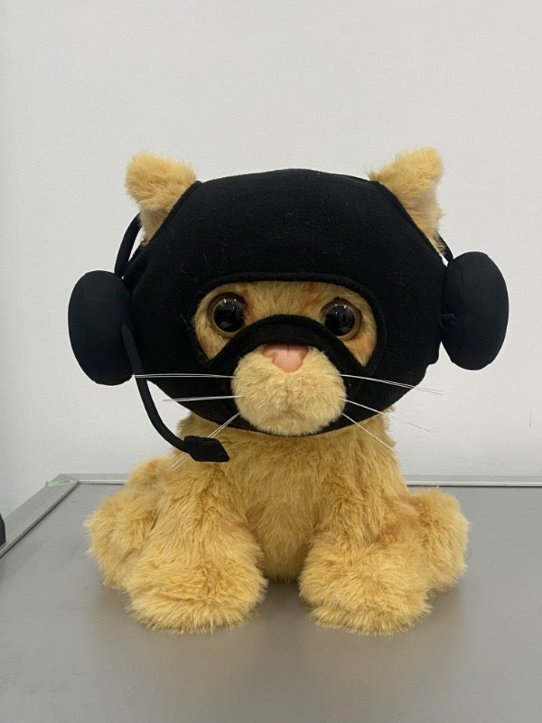 Catwifmask Bundle Deal - Plush toy & pillow