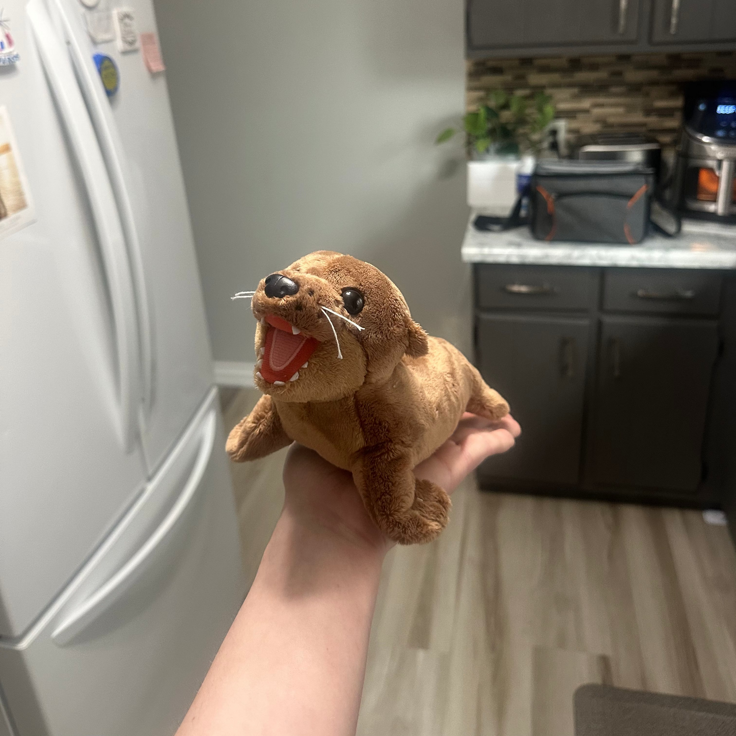 Skippy the silly sea lion plush - with built in sound!