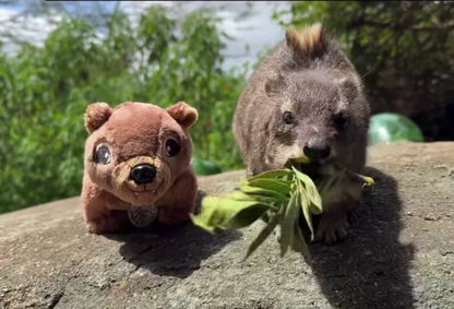 Lulu the screaming hyrax “AWAWA” hyrax plush - with built in sound